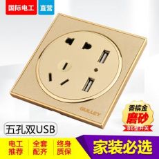 86型家裝圓形磨砂金五孔雙US手機充電帶2個USB